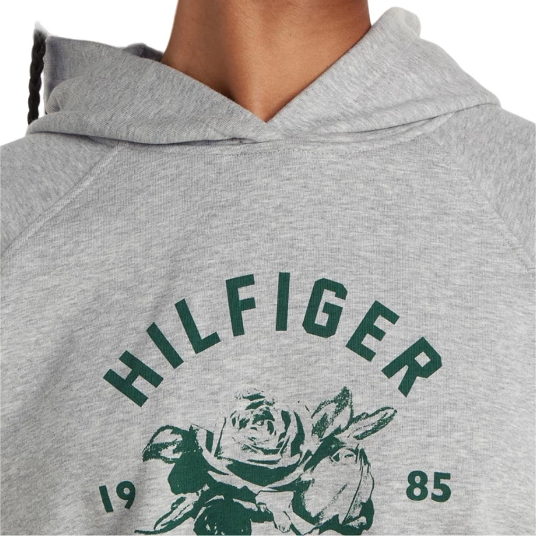 Толстовка Tommy Hilfiger Relaxed Graphic Hood Hwk 2