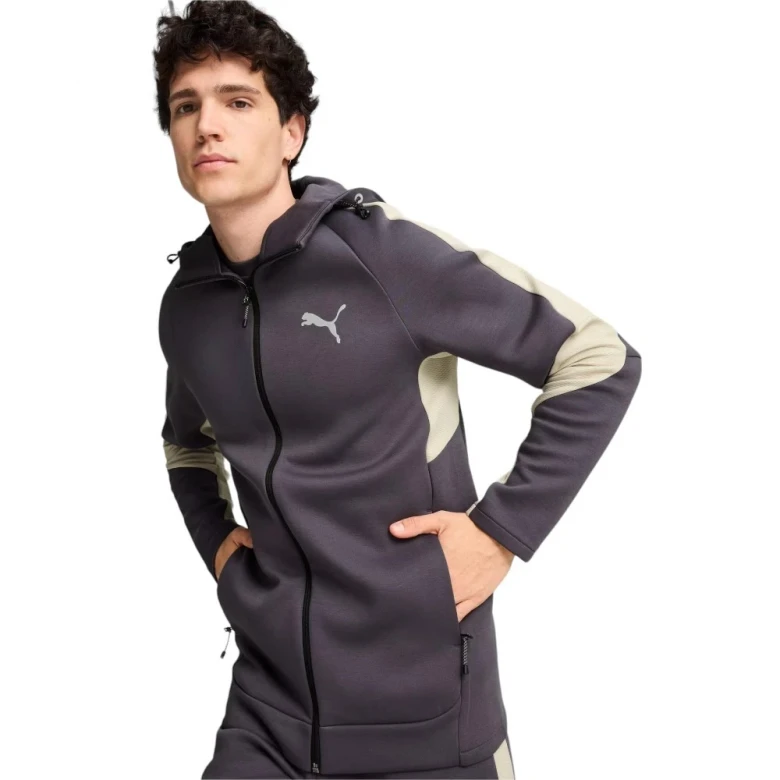 Толстовка Puma Evostripe Full-Zip Hoodie Men