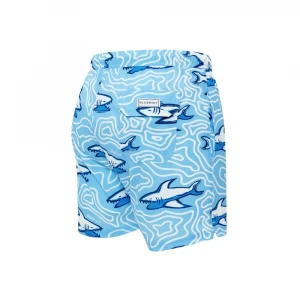 Шорты Bluemint Arthus Stretch Navy Bricks 2