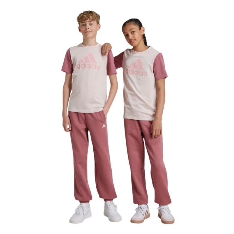 Штаны Adidas Essentials Small Logo Feel Cozy Fleece Pants Kids 3