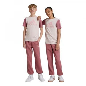 Штаны Adidas Essentials Small Logo Feel Cozy Fleece Pants Kids 3