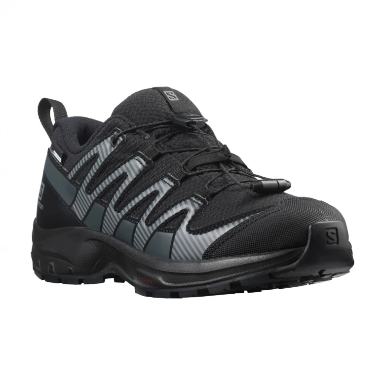 Кроссовки Salomon Shoes XA Pro V8 CSWP 2