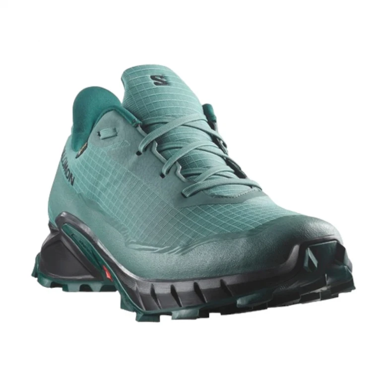 Кроссовки Salomon Alphacross 5 GTX 2