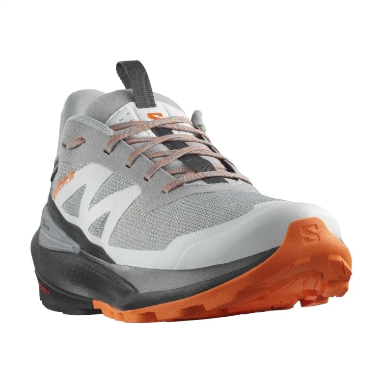 Кроссовки Salomon Elixir Activ GTX 1