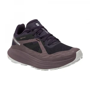 Кроссовки Salomon Ultra Flow GTX Women 1