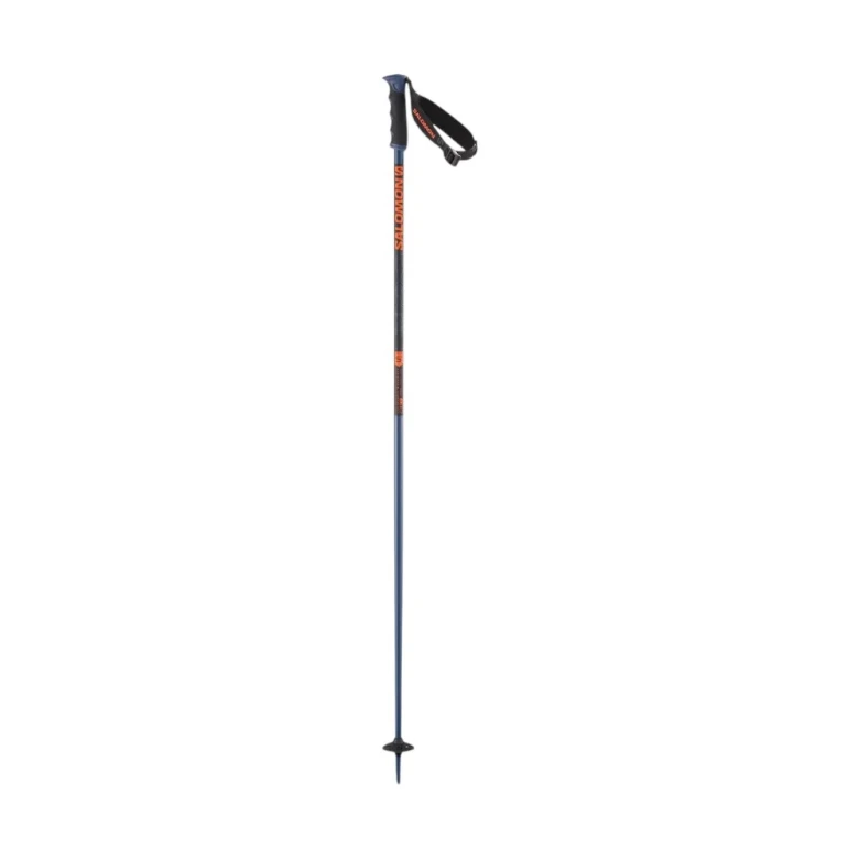 Палки Salomon Arctic S3 Ski Poles