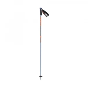 Палки Salomon Arctic S3 Ski Poles