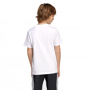 Футболка Adidas Messi Icon Graphic Tee Kids 1