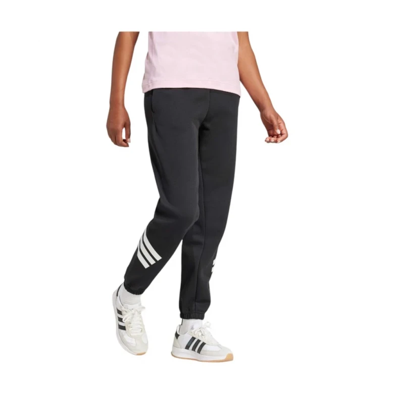 Штаны Adidas Future Icons 3-Stripes Pants 1