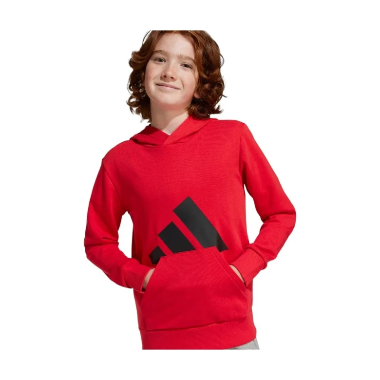 Худи Adidas Essentials Hoodie Kids 4