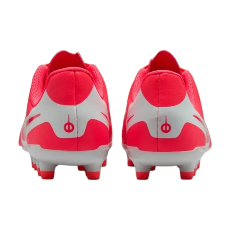 Бутсы Nike Jr Legend 10 Club Fg/mg 4
