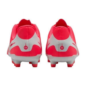Бутсы Nike Jr Legend 10 Club Fg/mg 4