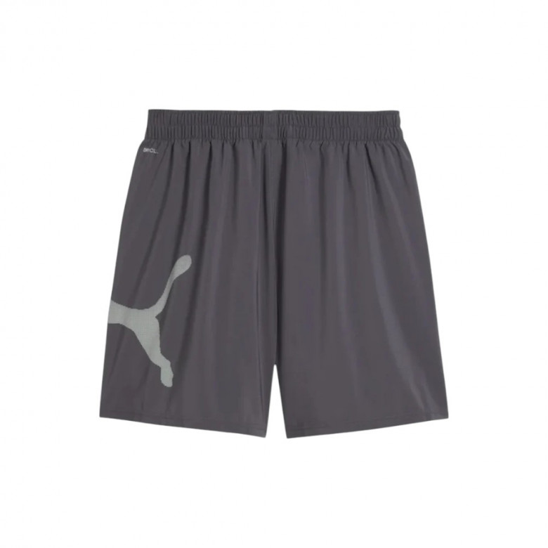 Шорты Puma Essential Big Logo Woven Short 1