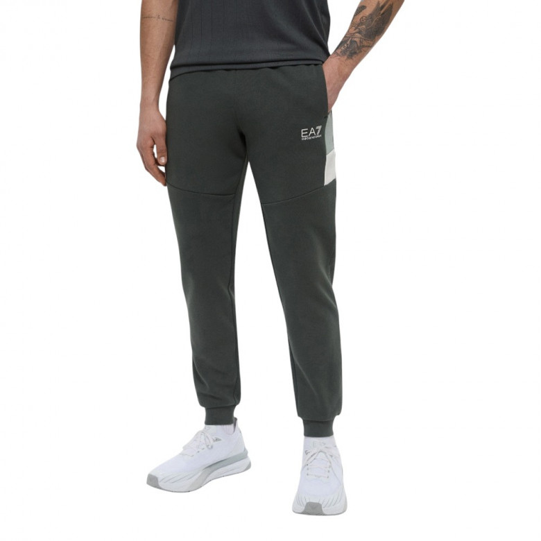 Штаны Ea7 Emporio Armani Summer Block
