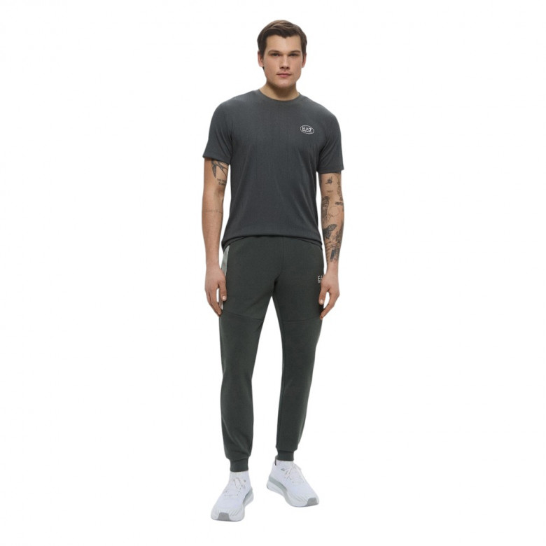 Штаны Ea7 Emporio Armani Summer Block 4
