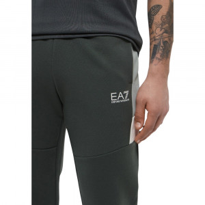 Штаны Ea7 Emporio Armani Summer Block 2