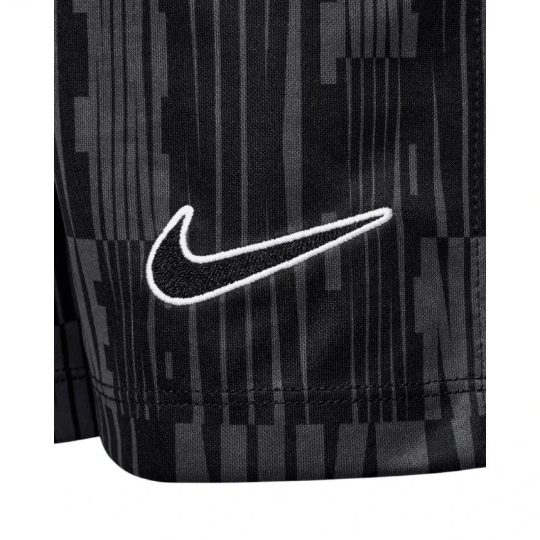 Шорты Nike Academy 2