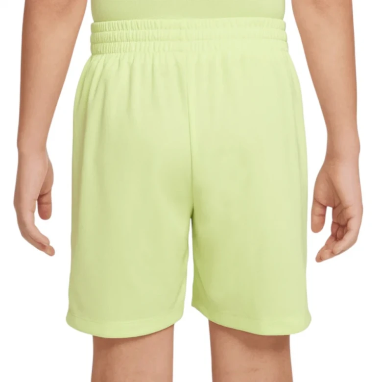 Шорты Nike Multi 2