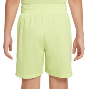 Шорты Nike Multi 2
