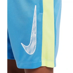 Шорты Nike Trophy23 5