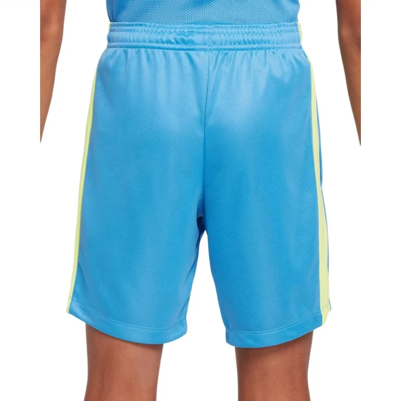 Шорты Nike Trophy23 2