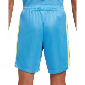 Шорты Nike Trophy23 2