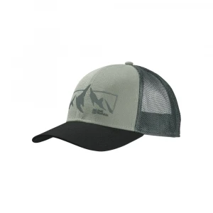 Кепка Jack Wolfskin Brand Cap