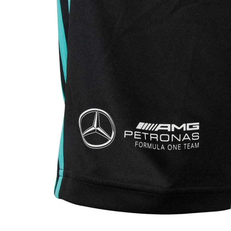Шорты Adidas Mercedes-AMG Petronas Formula One Team DNA Short 2