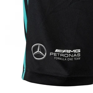 Шорты Adidas Mercedes-AMG Petronas Formula One Team DNA Short 2