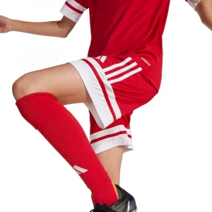 Шорты Adidas Squadra 25 Shorts Kids 1