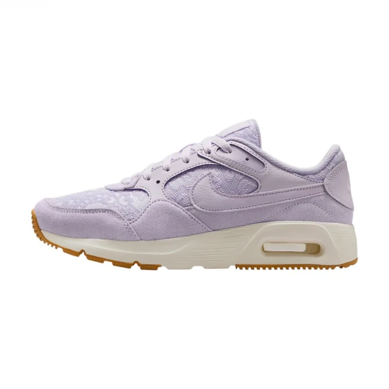 Кроссовки Nike Air Max SC 1