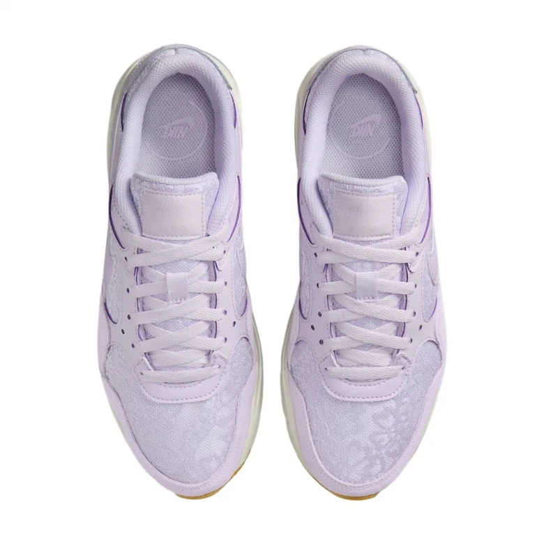 Кроссовки Nike Air Max SC 3