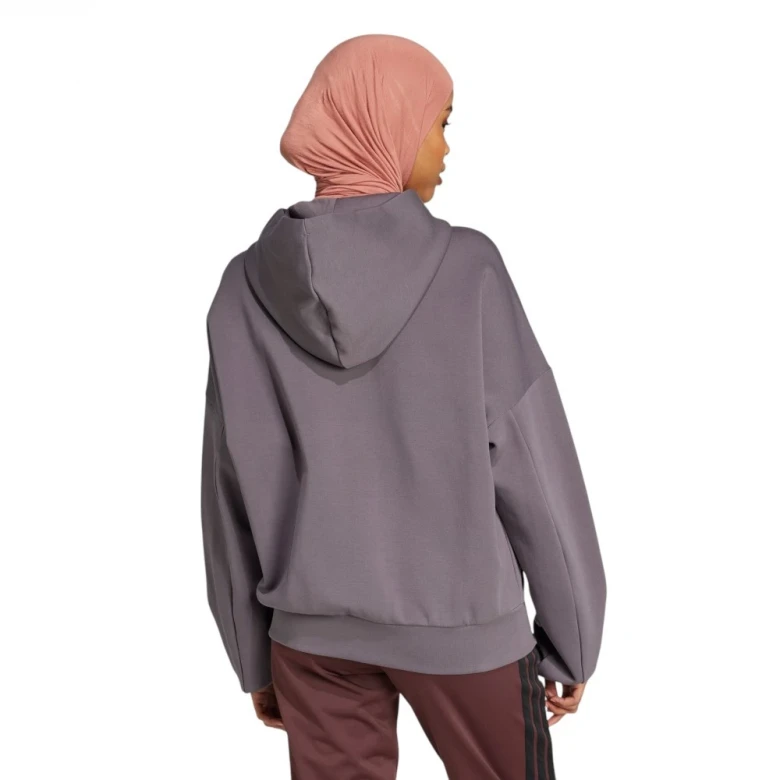Толстовка Adidas Future Icons Small Logo Full-Zip Hoodie 1