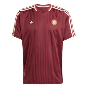 Футболка Adidas FC Bayern Terrace Icons Jersey 1