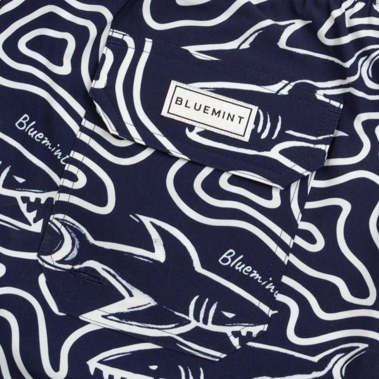 Шорты Bluemint Arthus Stretch 4