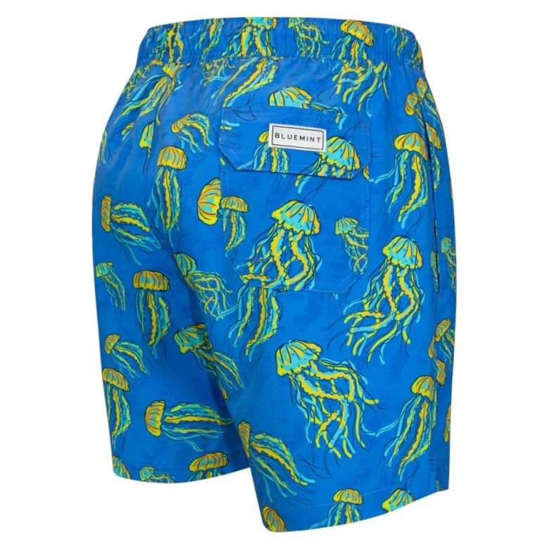 Шорты Bluemint Arthus Stretch 2