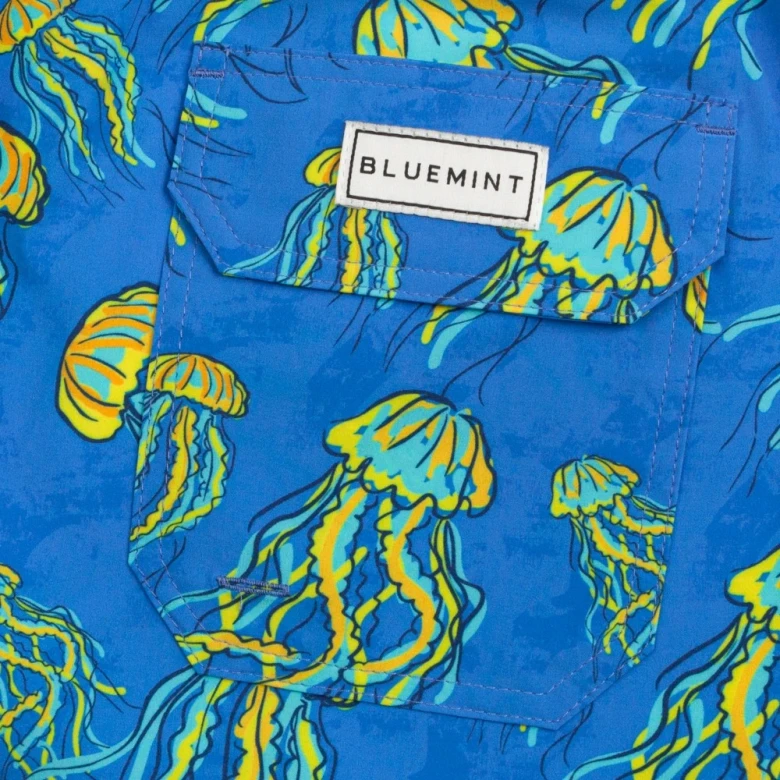 Шорты Bluemint Arthus Stretch 4