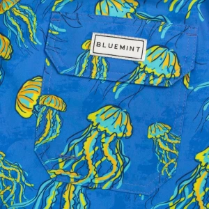 Шорты Bluemint Arthus Stretch 4