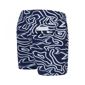 Шорты Bluemint Arthus Boy Stretch 1