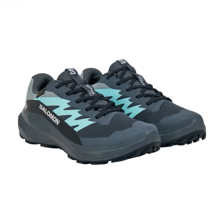 Salomon Shoes Alphaglide Gtx Krossovkalari 1