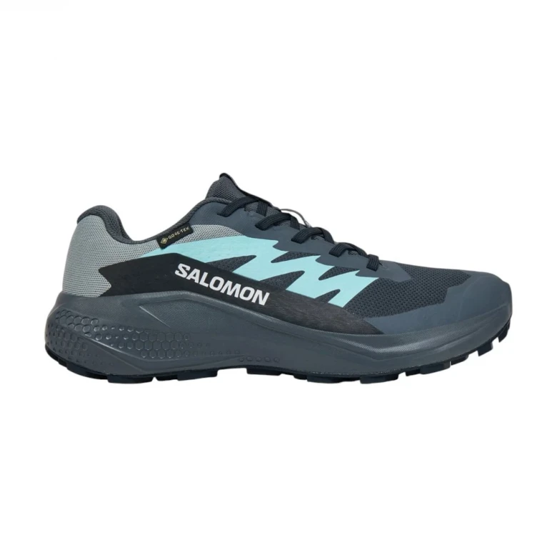 Salomon Shoes Alphaglide Gtx Krossovkalari