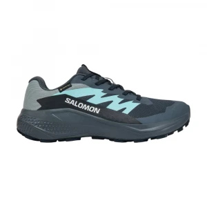 Salomon Shoes Alphaglide Gtx Krossovkalari
