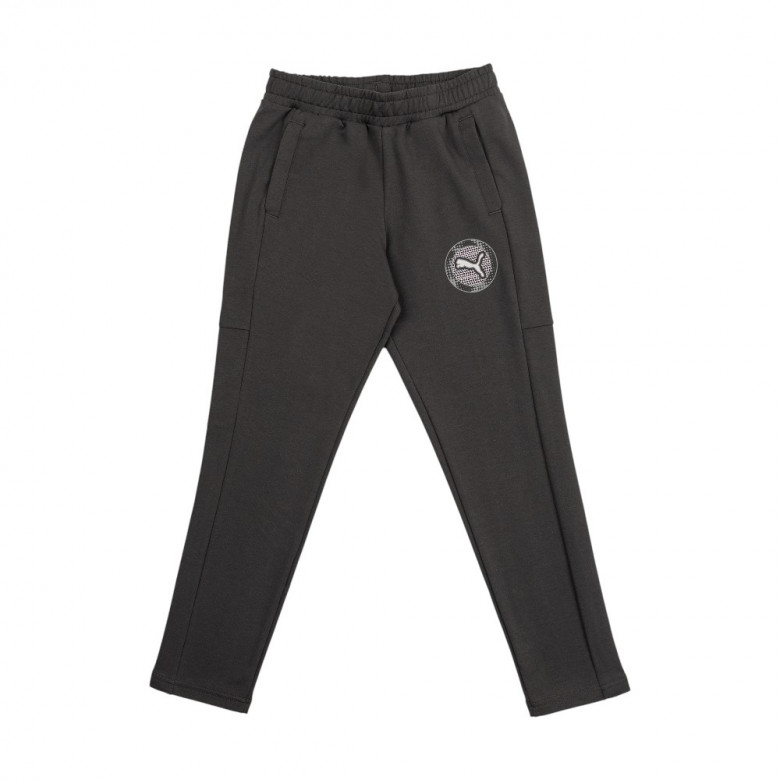 Puma Active Sports Graphic Pants Tr B Shimlari