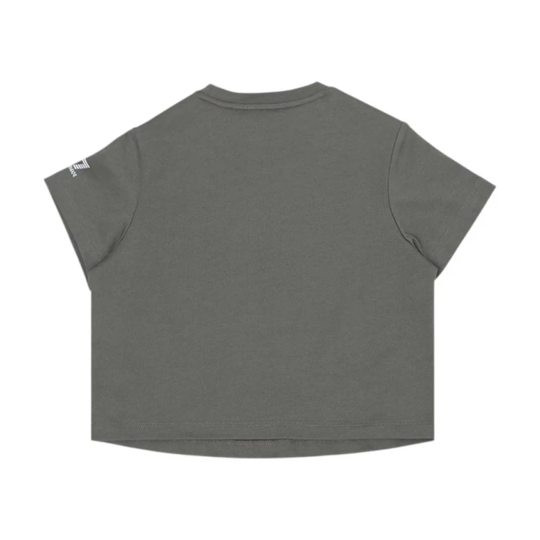 Train Logo Series Graphic 1