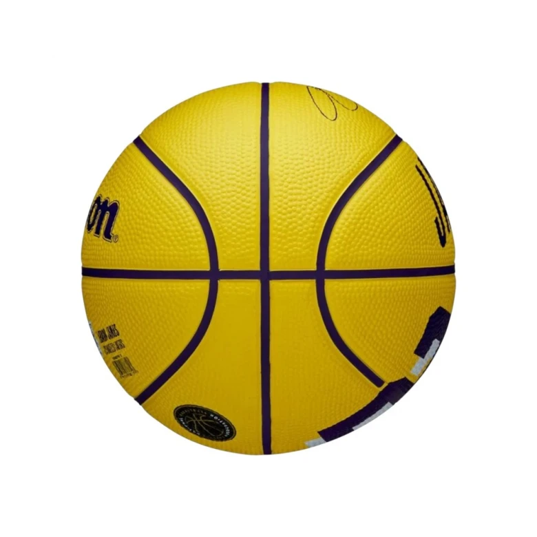 Мяч Wilson NBA Player Icon LeBron James Mini Ball 2