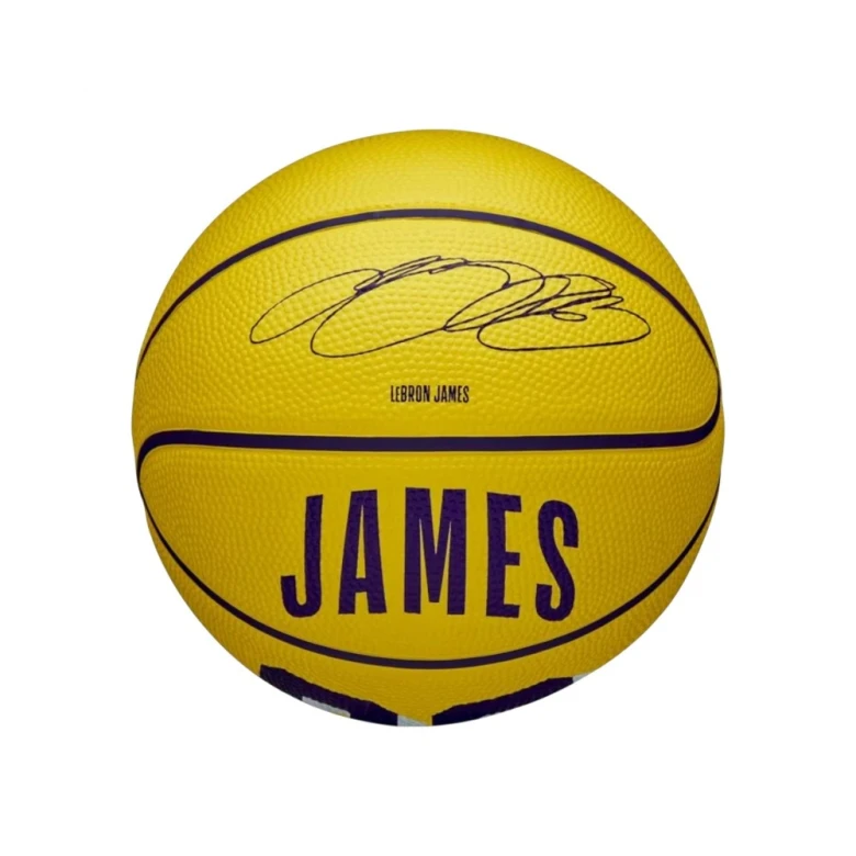 Мяч Wilson NBA Player Icon LeBron James Mini Ball 1