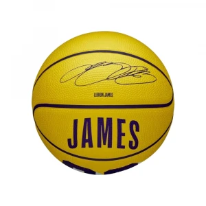 Мяч Wilson NBA Player Icon LeBron James Mini Ball 1