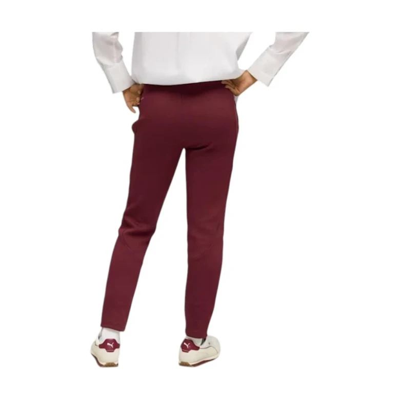 Штаны Puma Evostripe Sweatpants DK 1