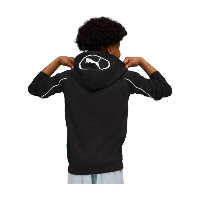 Толстовка Puma Sport Full-Zip Hoodie 1