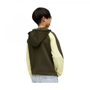 Evostripe Full-Zip Hoodie 1